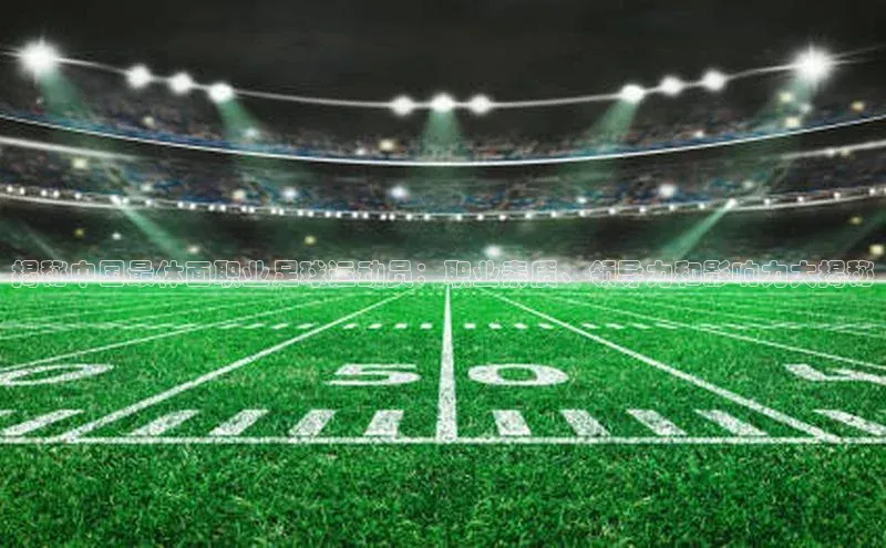 8868平台登录入口百度手机助手揭秘中国最体面职业足球运动员：职业素质、领导力和影响力大揭秘