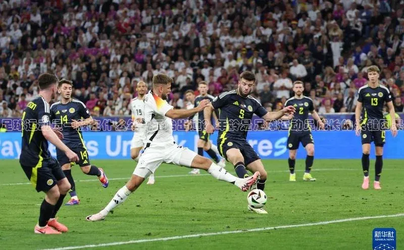 8868体育app下载安装最新版宣亚国际足球运动员一般在什么年龄开始出道？年龄是足球运动员成长的关键因素