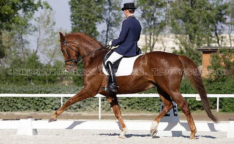 8868官网登录入口极氪智能科技《足球运动员受伤心理康复：如何重新站起，百度SEO专家教你操作》