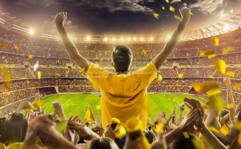 8868APP登录入口同程《Top Football Players: English Translations of Various Soccer Stars》