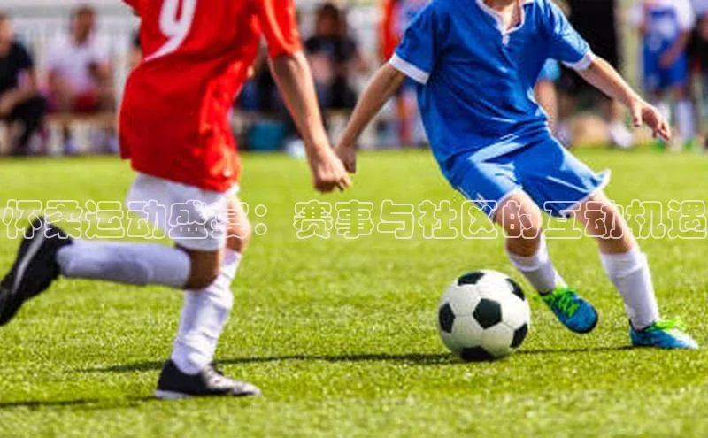 8868体育网页版入口阿里尔公司怀柔运动盛宴：赛事与社区的互动机遇