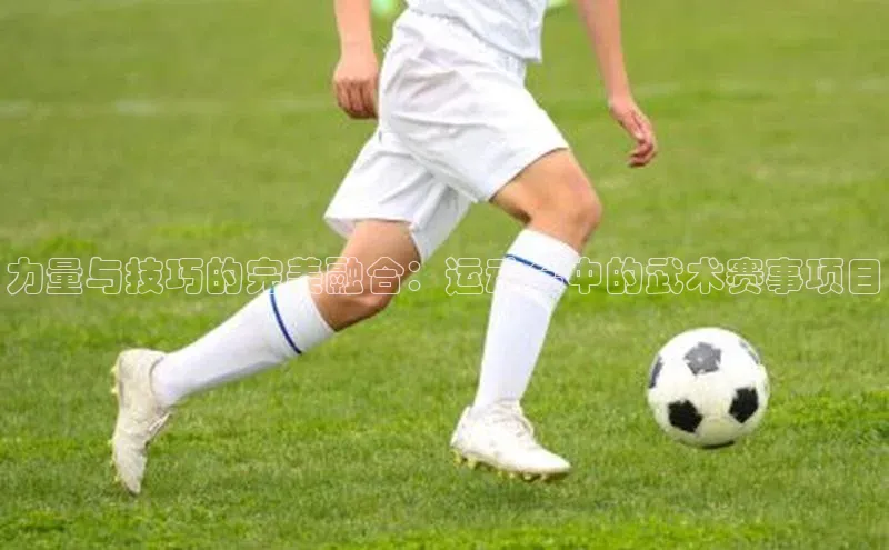 8868体育网页版登录入口百度健康力量与技巧的完美融合：运动会中的武术赛事项目