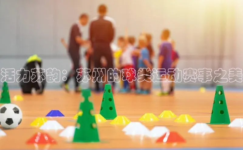 8868网页在线登录金山办公活力苏韵：苏州的球类运动赛事之美