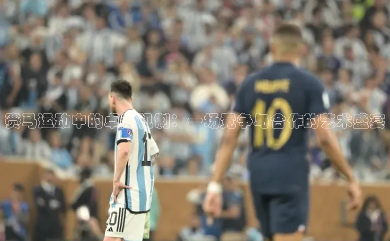 赛马运动中的卓越机制：一场竞争与合作的艺术盛宴