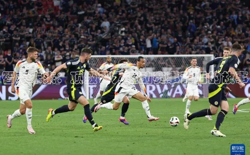 智享未来：顶级智力运动赛事背后的故事