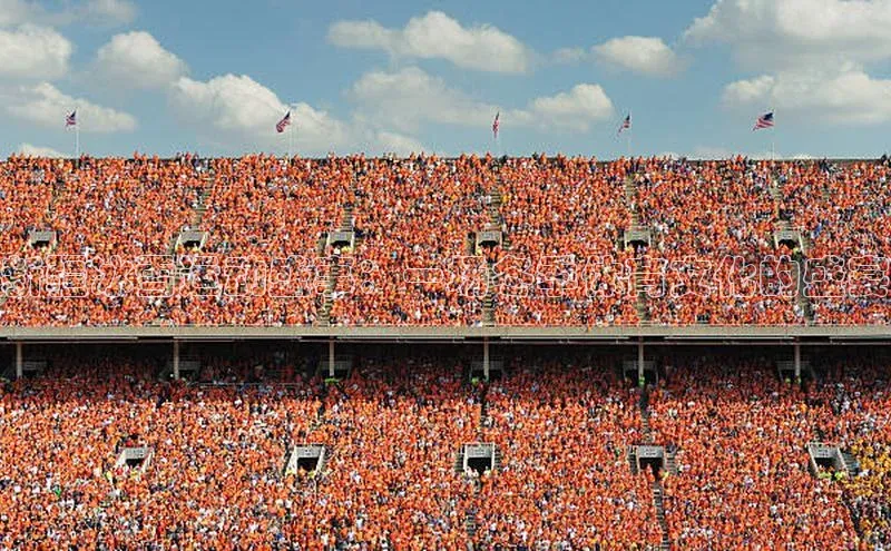 新疆冰雪运动盛事：一场冬季体育文化的盛宴