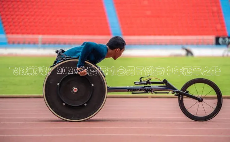 飞跃巅峰：2023年度运动会男子跳高中年冠军之路