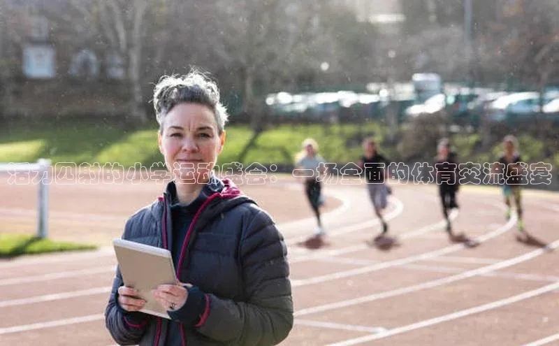 活力四射的小学运动盛会：一场全面的体育交流盛宴