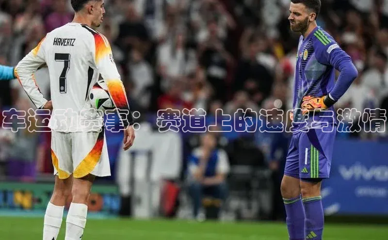 车运动赛事：赛道上的速度与激情