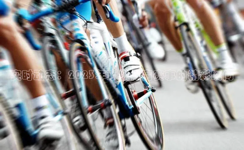 实时动态：2023年顶级体育赛事的精彩瞬间