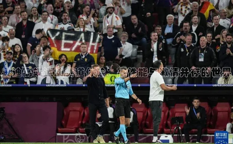 奥迪高端运动赛道体验：高性能与激情并存的世界