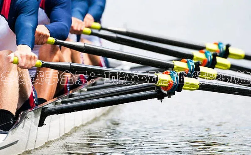 冬奥赛事全景：顶级运动员的精彩轨迹