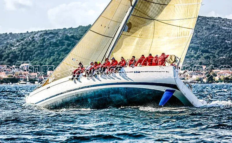 全球视野：运动赛事精彩瞬间影像大赏