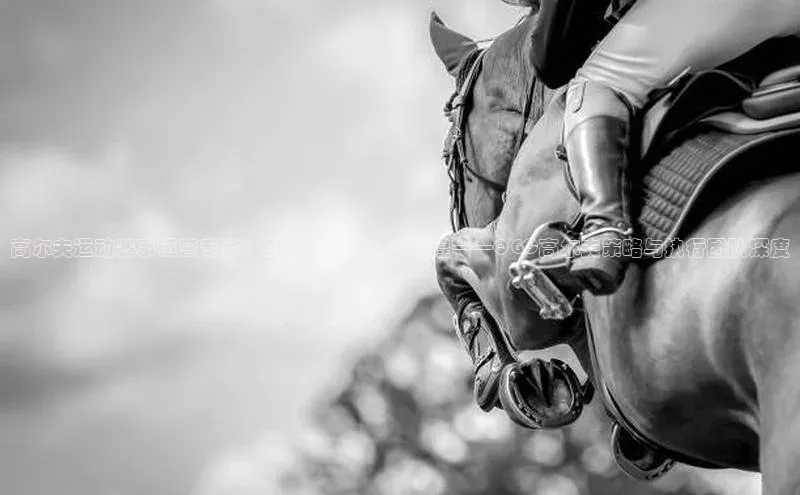 高尔夫运动赛事运营专家：引领潮流，共创辉煌——QGC高尔夫策略与执行团队深度