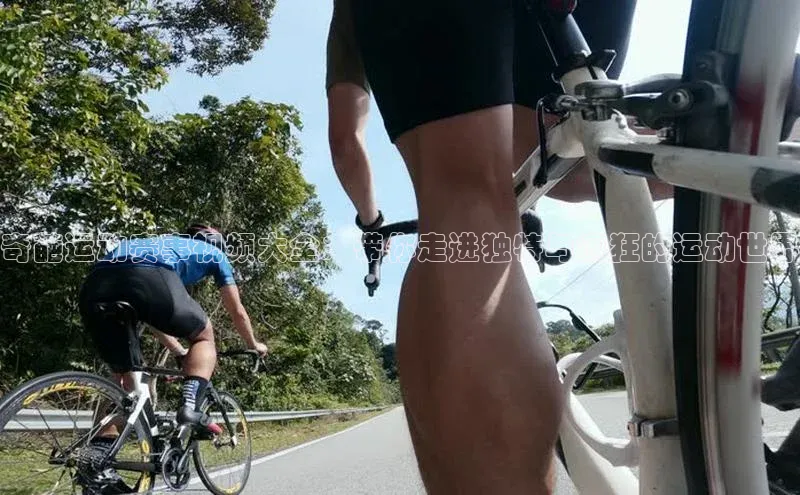 8868平台登录入口