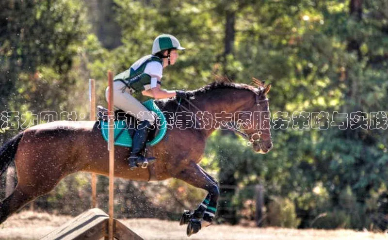 8868体育网页版入口