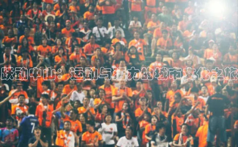 8868体育在线登录入口